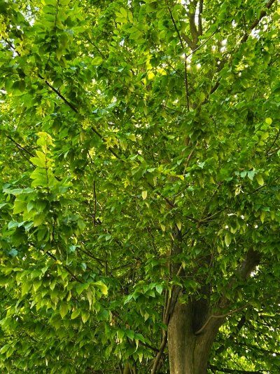 Wojsławickie Klimaty - galeria zdjęć